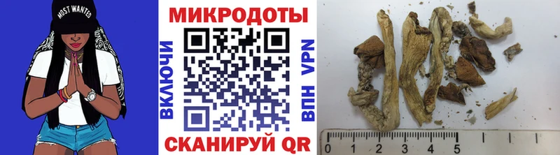Псилоцибиновые грибы Magic Shrooms  кракен онион  Белореченск  закладки 